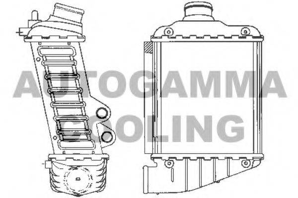 AUTOGAMMA 101964