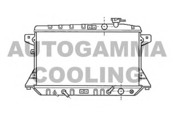 AUTOGAMMA 102117 Радіатор, охолодження двигуна