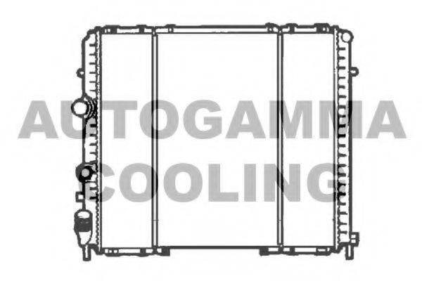 AUTOGAMMA 102282 Радіатор, охолодження двигуна