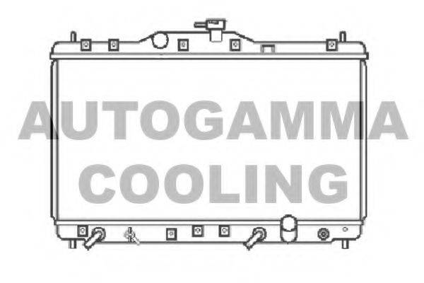 AUTOGAMMA 102856 Радіатор, охолодження двигуна