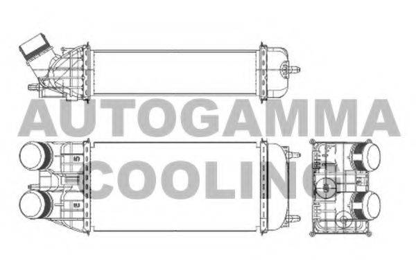 AUTOGAMMA 105995