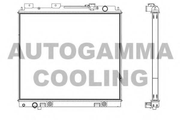 NISSAN 214605X20A Радіатор, охолодження двигуна