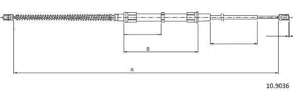 CABOR 10.9036