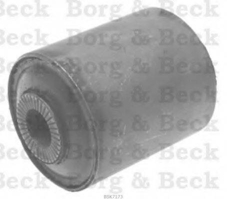 BORG & BECK BSK7173