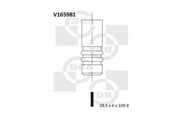 BGA V165981