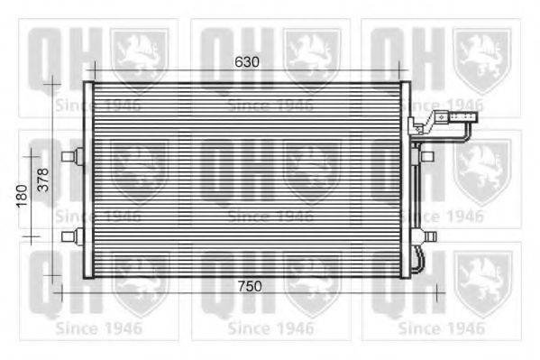 QUINTON HAZELL QCN632