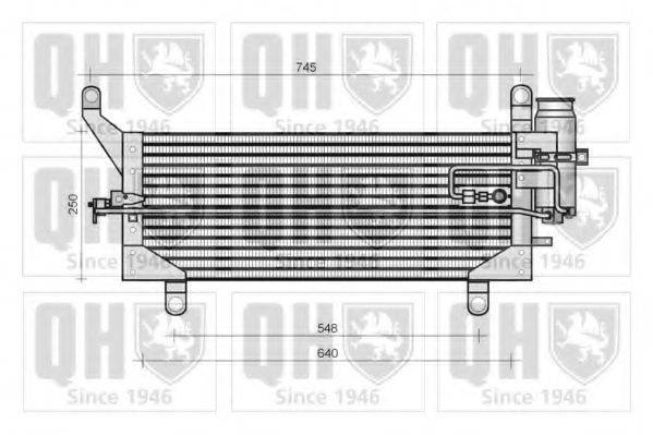 QUINTON HAZELL QCN95