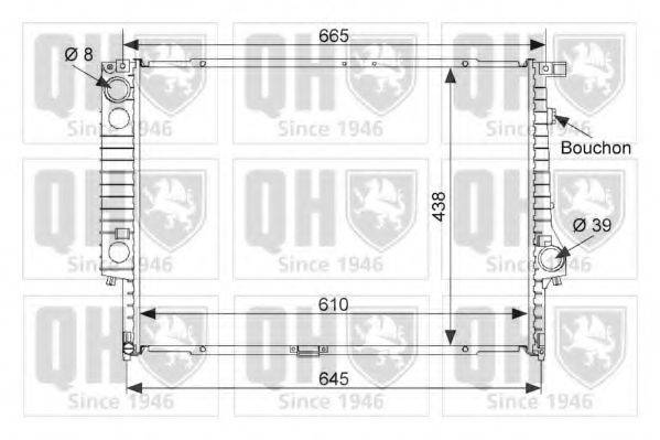 QUINTON HAZELL QER1596